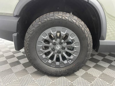 2026 Honda Passport TrailSport