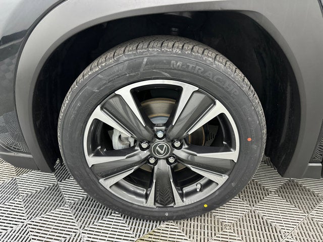 2020 Lexus UX UX 200